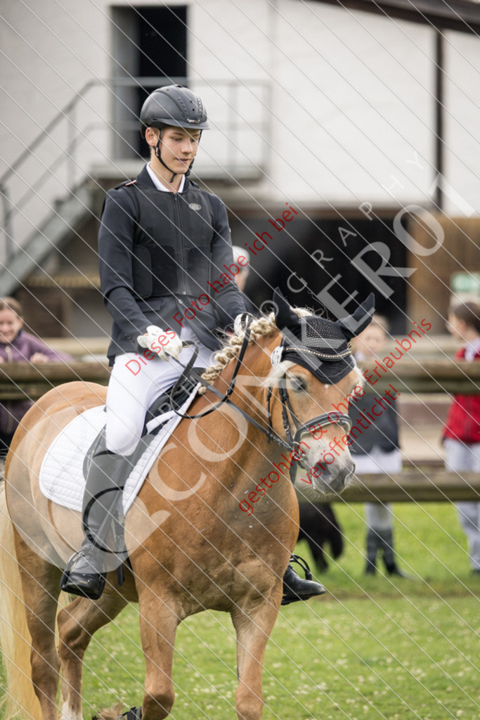 IMG_2419 | Sport-, Event- und Tierfotos in Profiqualität. Einfach auswählen, bestellen und herunterladen. Dein Moment – perfekt festgehalten.