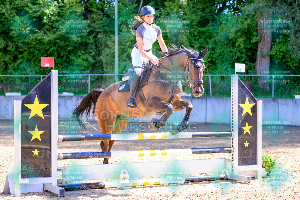 29082026-Giesenbach-Prfg10-0519 | Fokus Hufschlag Fotografie - Realisiert mit Pictrs.com