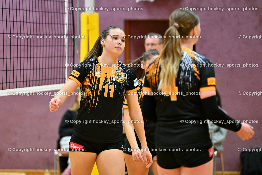 ASKÖ Volley Eagles Villach vs. VC Hausmannstätten | #11 Ilvie HOFER ASKÖ Volley Eagles Villach, ASKÖ Volley Eagles Villach vs. VC Hausmannstätten, ASKÖ Volley Eagles Villach vs. VC Hausmannstätten am 01.02.2025 in Villach (Ballspielhalle Lind), Austria, (Photo by Bernd Stefan)