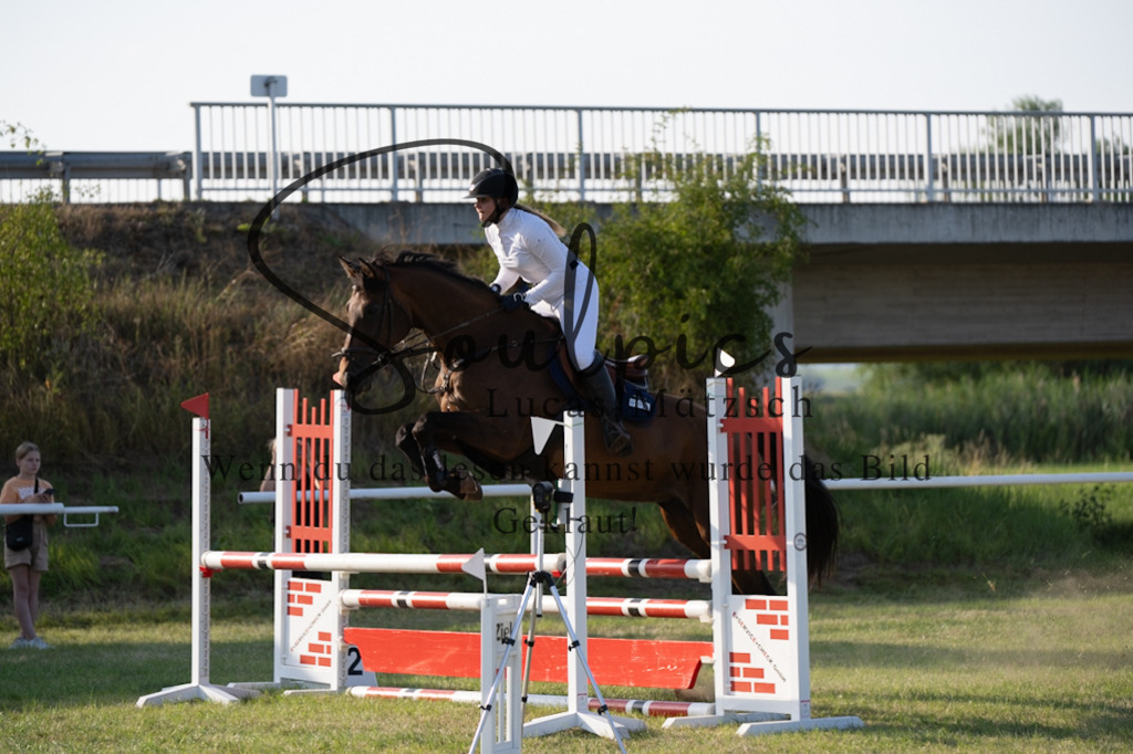 A7V00941 | Pferdefotograf