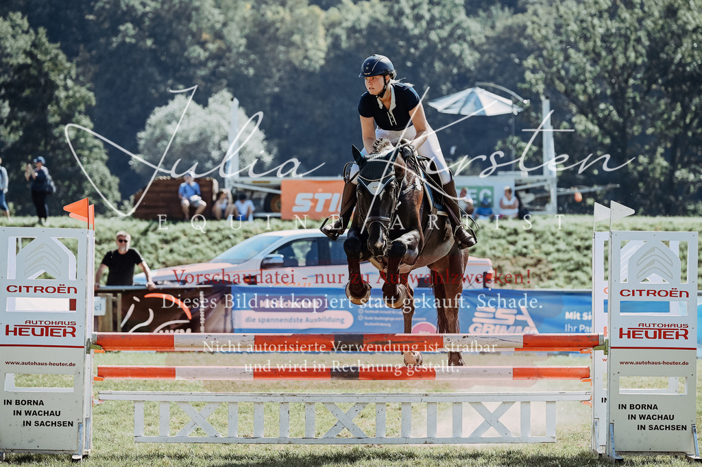 DSC_5985 | Pferde- und Turnierfotografie in Westsachsen. Pferdeportraits, Auftragszeichnungen und intuitive Kunst.