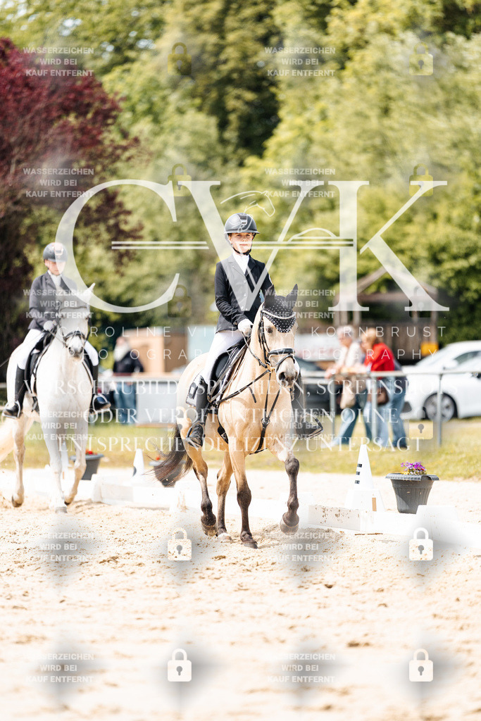 CK902441 | Turnierfotografie Pferdefotografie Trier Rheinland-Pfalz Pferdesport Reitsport Tierfotografie Sportfotografie Pferdevideo Pferdevideografie Equestrianvideography equestrianphotography  - Realisiert mit Pictrs.com