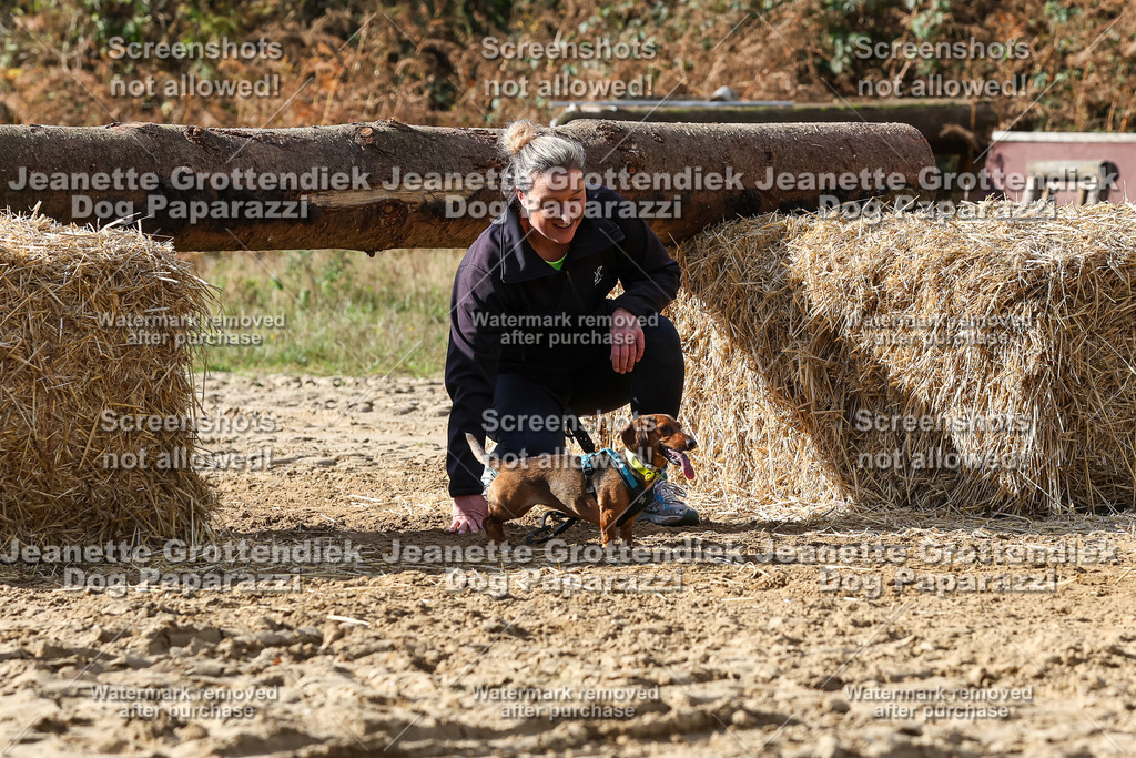 Dog Paparazzi - Strongdog 10-25-4971 | Dog Paparazzi Jeanette Grottendiek Fotografie & Videografie - Realisiert mit Pictrs.com