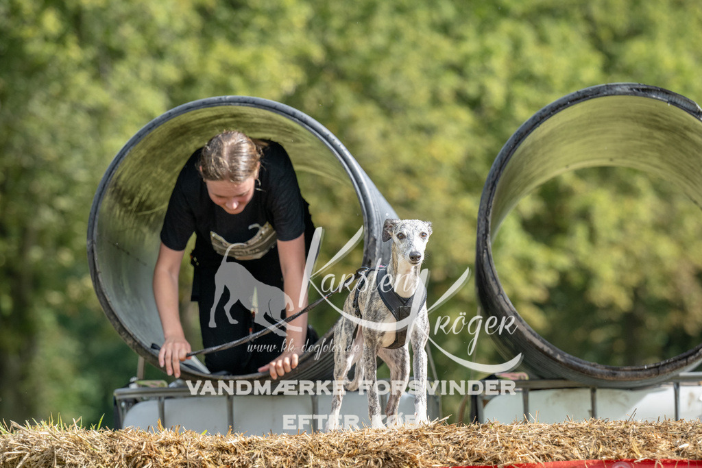 1121_ZZ93952 | kk-dogfotos