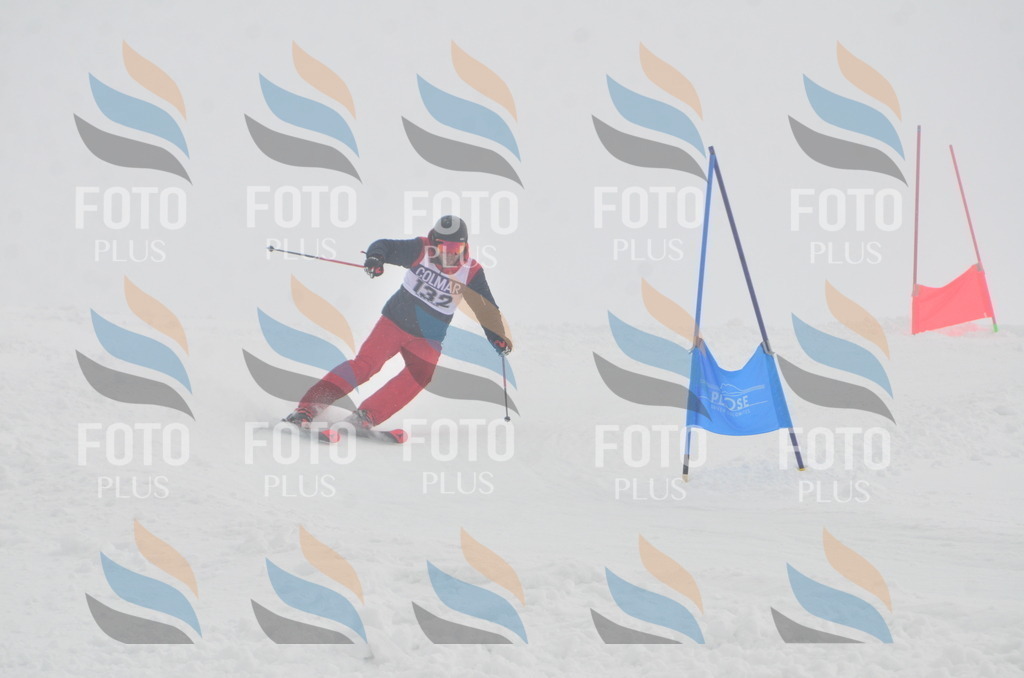 A6081 | holidayphoto