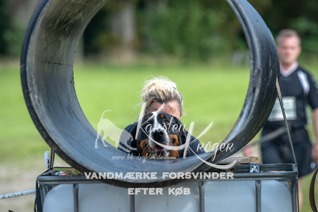 1313_ZZ92630 | kk-dogfotos