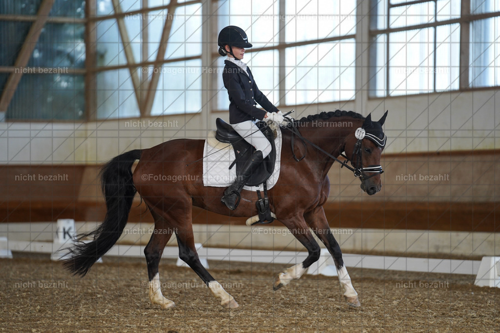 20240824-FAH07162 | Thierhaupten 2024, Bayerisches Landesponyturnier, Turnierbilder, Ponybilder, Turnierfotografen Bayern, Fotoagentur Herrmann