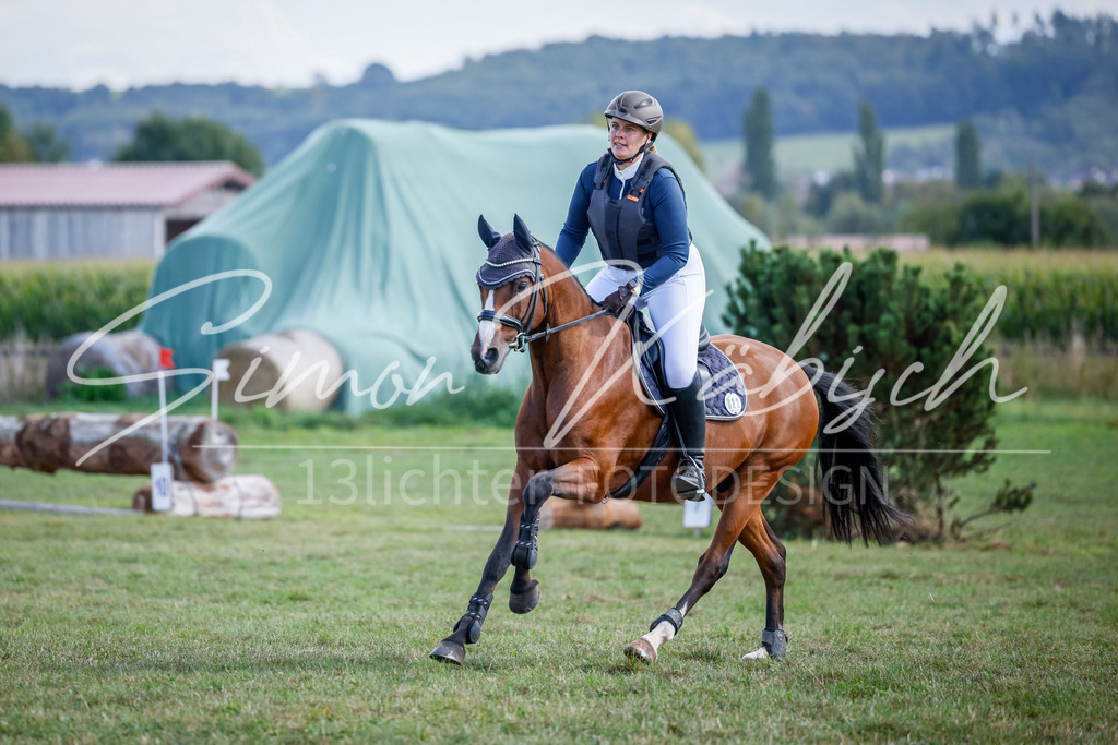 20250905-_3LI0355 | Tierfotografie Pferde, Hunde, Katzen, Haustiere.
Turnierfotografie Reitturniere, Reiten, Springreiten, Dressur in Hanau, dem Main-Kinzig-Kreis und dem Rhein-Main- Gebiet um Frankfurt