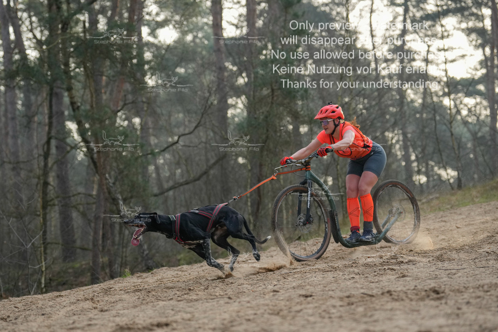 Scooter1-90 | stephaniefillaphotographie - Realisiert mit Pictrs.com