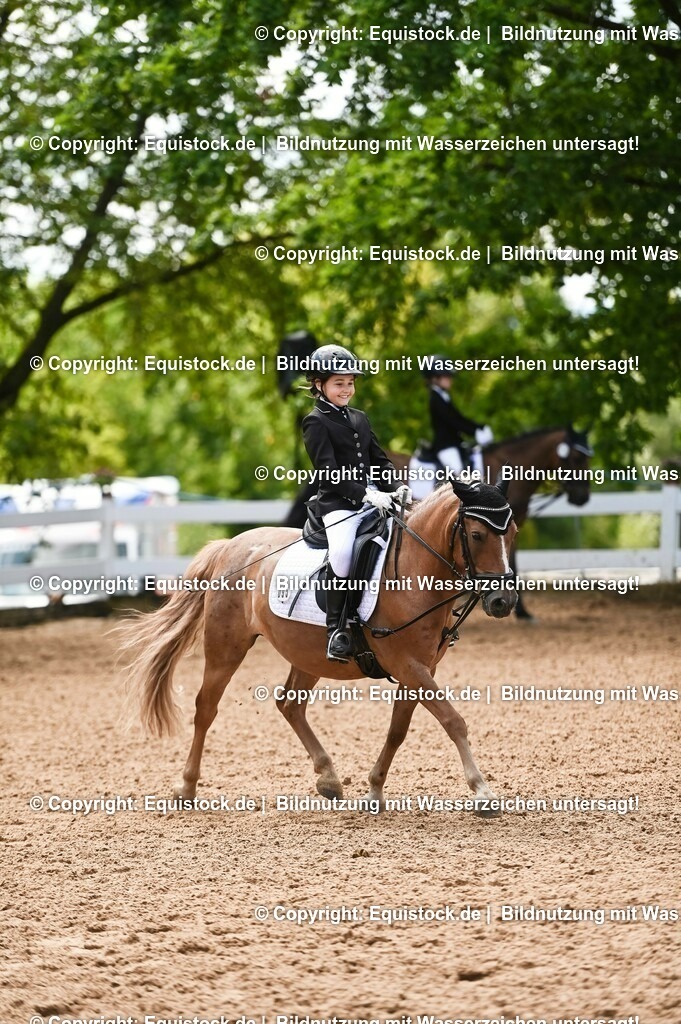 20230716_10-3_Reiter-WB Schritt - Trab - Galopp_0173 | equistock