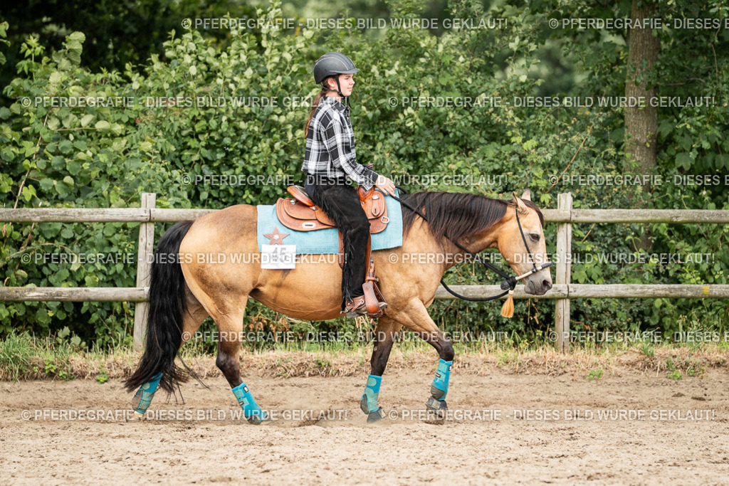 DSC03996 | Pferdegrafie