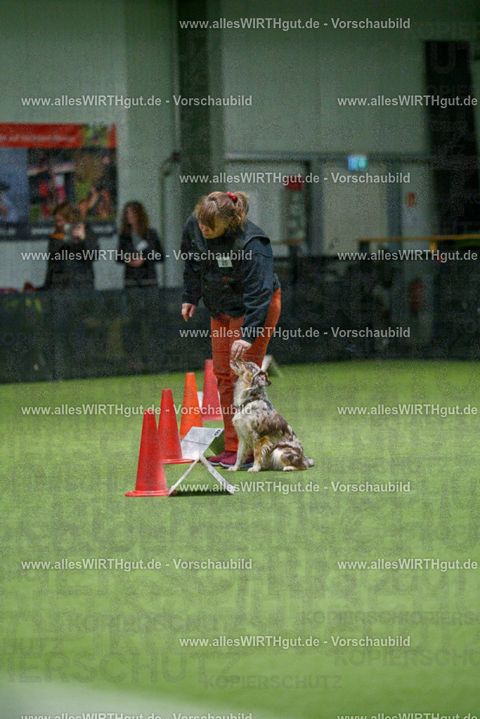 7R504607 | Professionelle Tierfotografie in Mönchengladbach von Daniel Wirth (allesWIRTHgut). Liebevolle & natürliche Bilder von Hunden & Katzen für unvergessliche Erinnerungen.