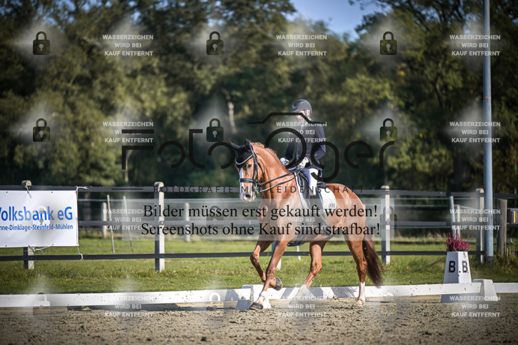 DOS_3541 | Entdecke hochwertige Reitturnierfotos von Foto Oger. Professionell, emotional und authentisch – jetzt Lieblingsmomente im Shop bestellen.Deutschlandweite Turnierfotografie. - Realisiert mit Pictrs.com