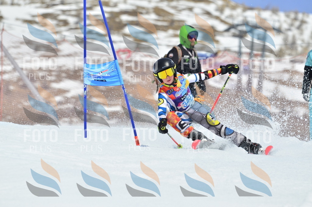 _ELE2538 | holidayphoto