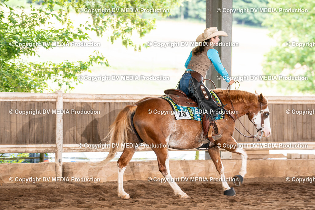 Erbach Tag 1-755 | dv-media-shop - Realisiert mit Pictrs.com