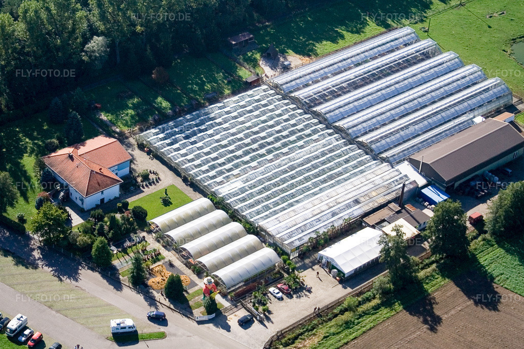 Luftbild: Steinfeld, Kakteenland in Steinfeld im Bundesland Rheinland-Pfalz in Deutschland. Foto: IMG_4352.jpg vom 08.10.2006 durch Werner Riehm/FLY-FOTO.de