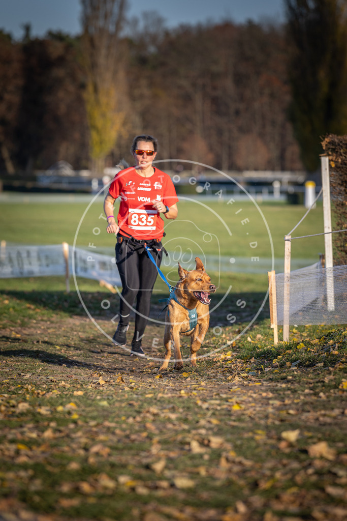 CaniXpix_DV3A3540 | Hundefotografie, Tierfotograf, Pfotenfotografie, Fotoshooting Hund, Hunde Portrait, Hundesport, Hundeportraits, Heideshooting, Hunde, Sportfotograf, Hundefotograf, Turnierhundsport, THS,  - Realisiert mit Pictrs.com