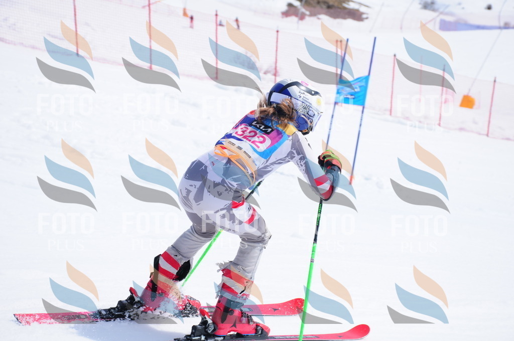 DSC_6865 | holidayphoto