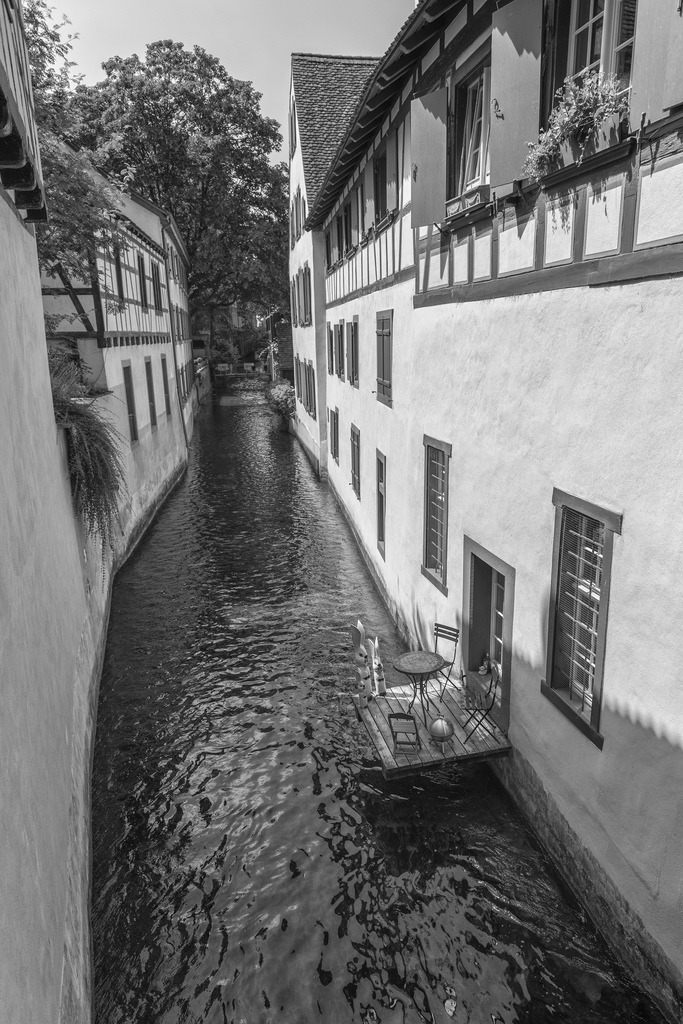 St. Alban-Teich | Der St. Alban-Teich im St. Alban-Tal, Basel, Schweiz. - Realisiert mit Pictrs.com