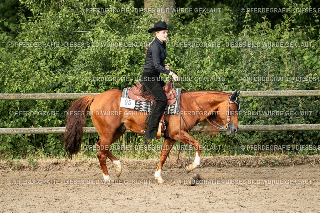 DSC06058 | Pferdegrafie