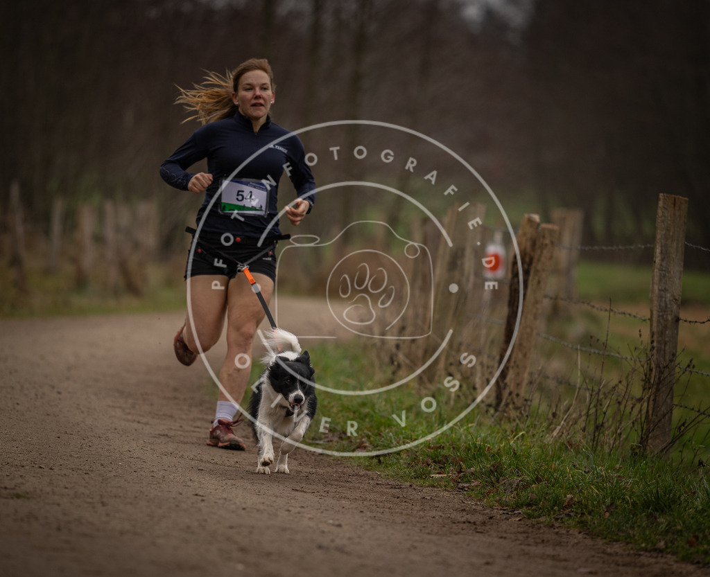 Pfotenfotografie_DV3A2976 | Hundefotografie, Tierfotograf, Pfotenfotografie, Fotoshooting Hund, Hunde Portrait, Hundesport, Hundeportraits, Heideshooting, Hunde, Sportfotograf, Hundefotograf, Turnierhundsport, THS,  - Realisiert mit Pictrs.com