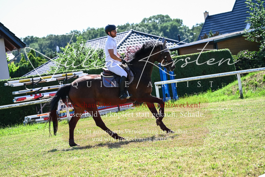 DSC_1646 | Pferde- und Turnierfotografie in Westsachsen. Pferdeportraits, Auftragszeichnungen und intuitive Kunst.
