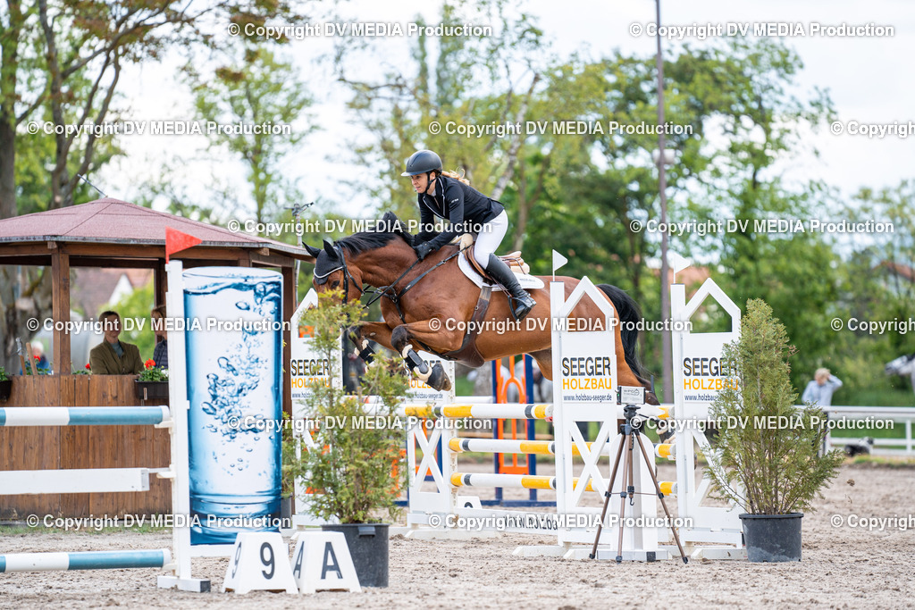 Eppelheim Tag 1-333 | dv-media-shop - Realisiert mit Pictrs.com