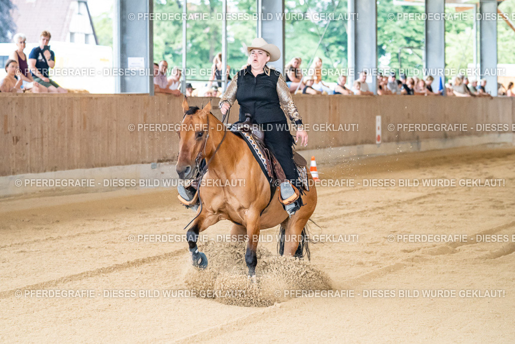 DSC08156 | Pferdegrafie