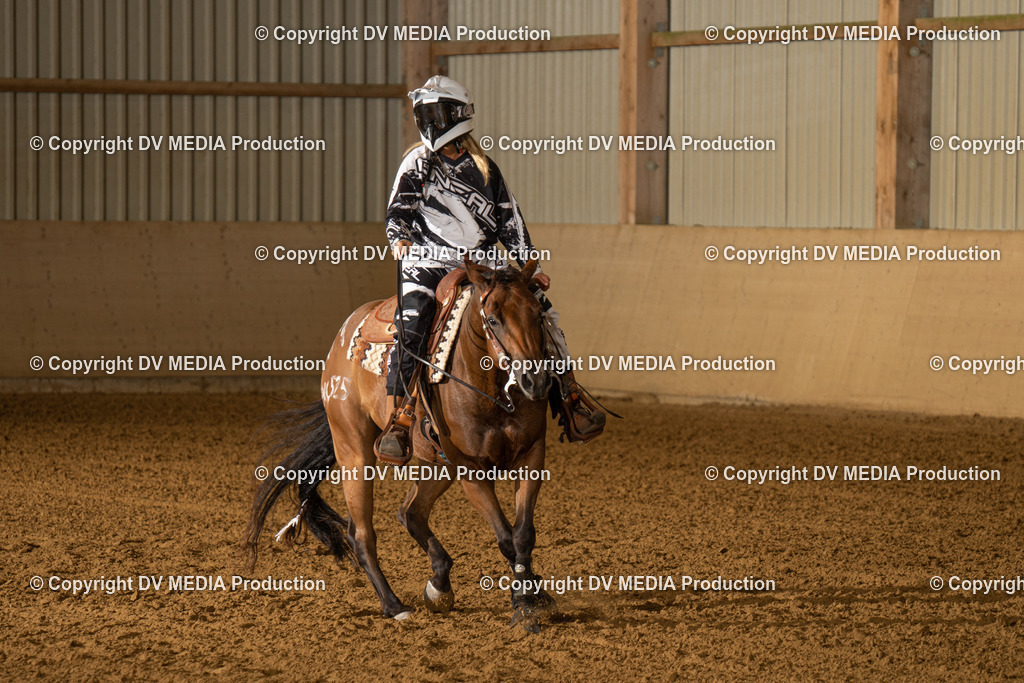 LAU01147 | dv-media-shop - Realisiert mit Pictrs.com