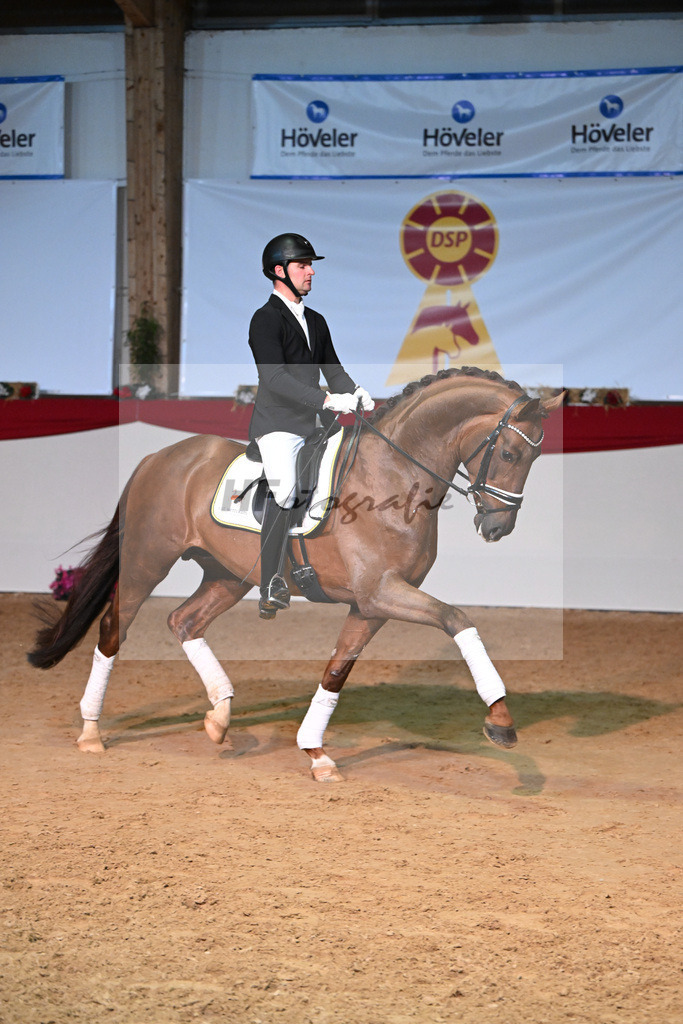 Feliciano_Wadenspanner_1234819 | hf-fotografie - Realisiert mit Pictrs.com