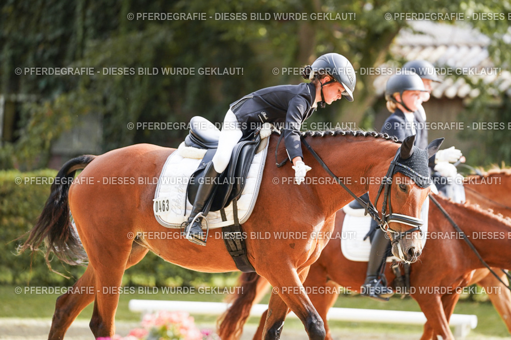 DSC04140 | Pferdegrafie