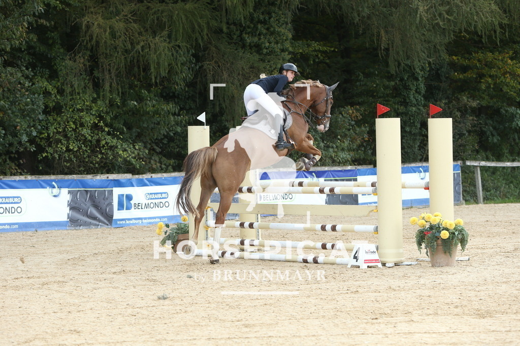 DL2Q7319 | Willkommen bei Brunnmayr - Design & Fotografie – Ihrem Spezialisten für Reitturniere und Pferdeveranstaltungen in Oberösterreich, Salzburg und Bayern! Seit über 17 Jahren sind wir leidenschaftlich dabei.