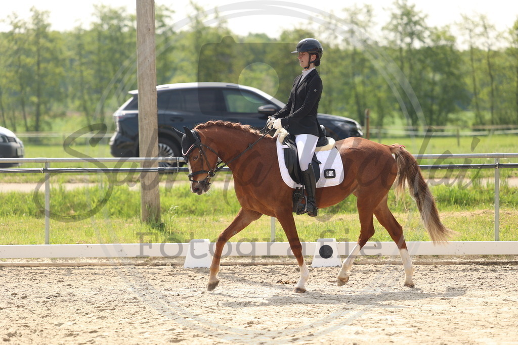 994A6764 | sabrinanicolaifotografie - Realisiert mit Pictrs.com