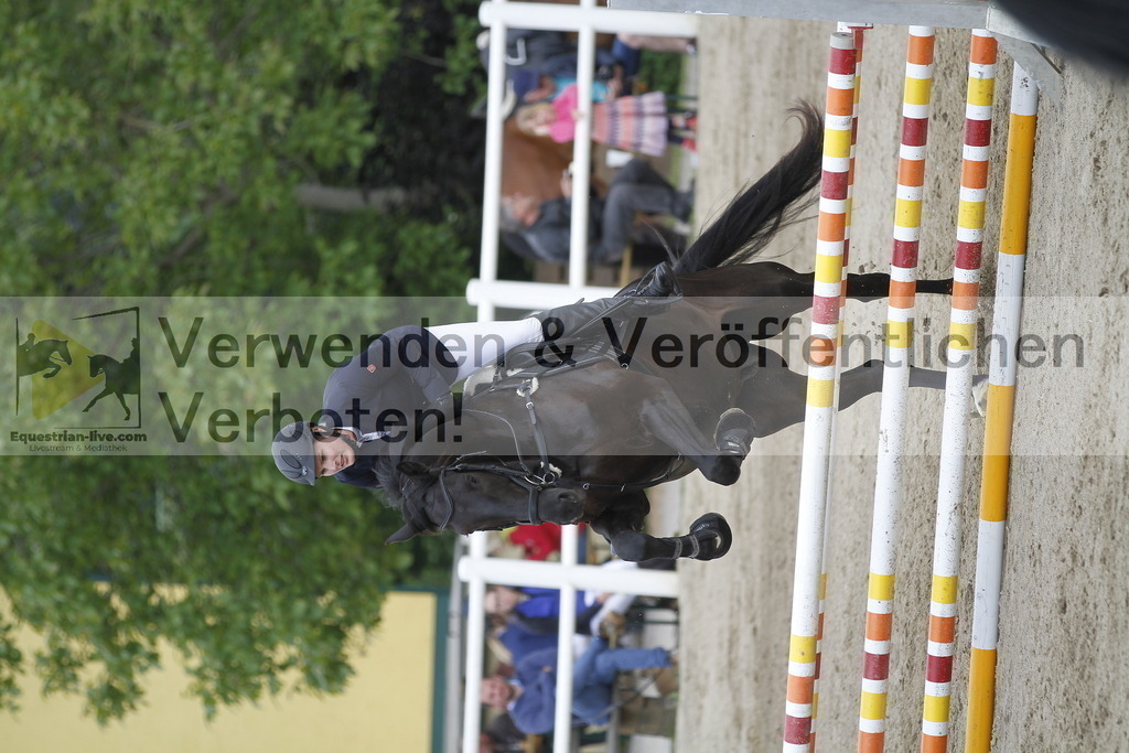 _MG_1166 | equestrian-live-com