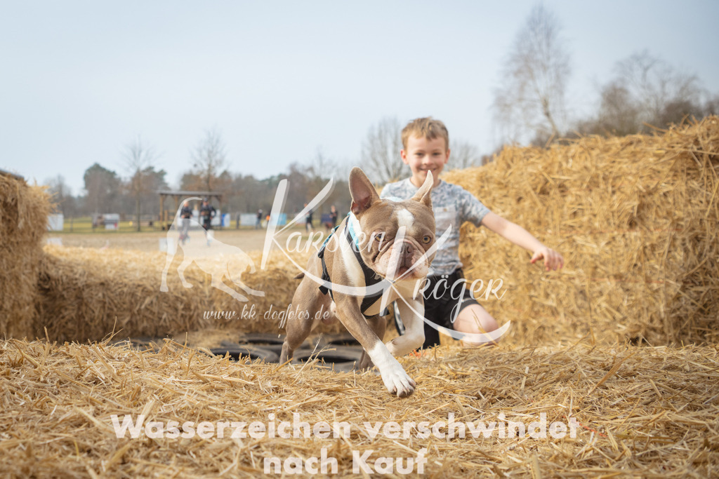 1017_ZZ93435 | kk-dogfotos