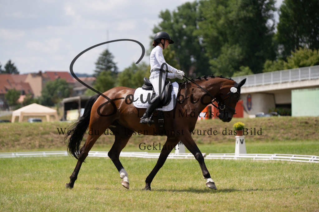 A7V09995 | Pferdefotograf