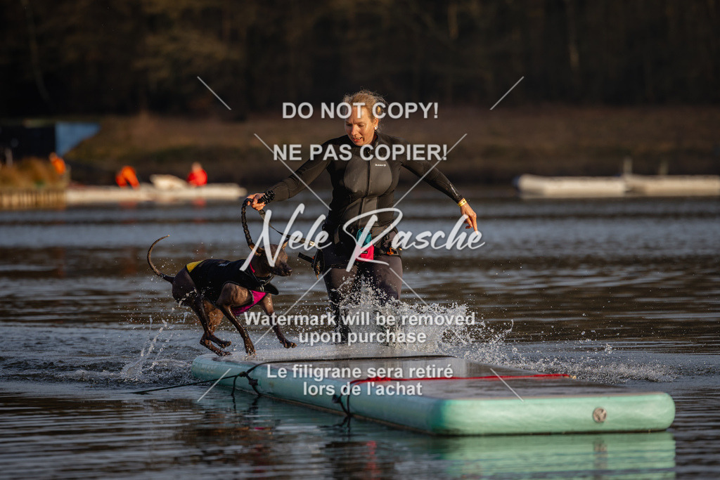 nelerasche_Hulsbeek_Sa1700-1730_182 | nelerasche