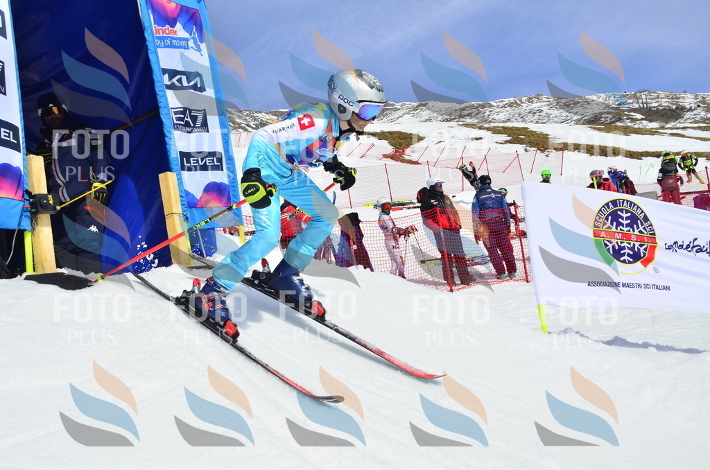 _ELE1911 | holidayphoto