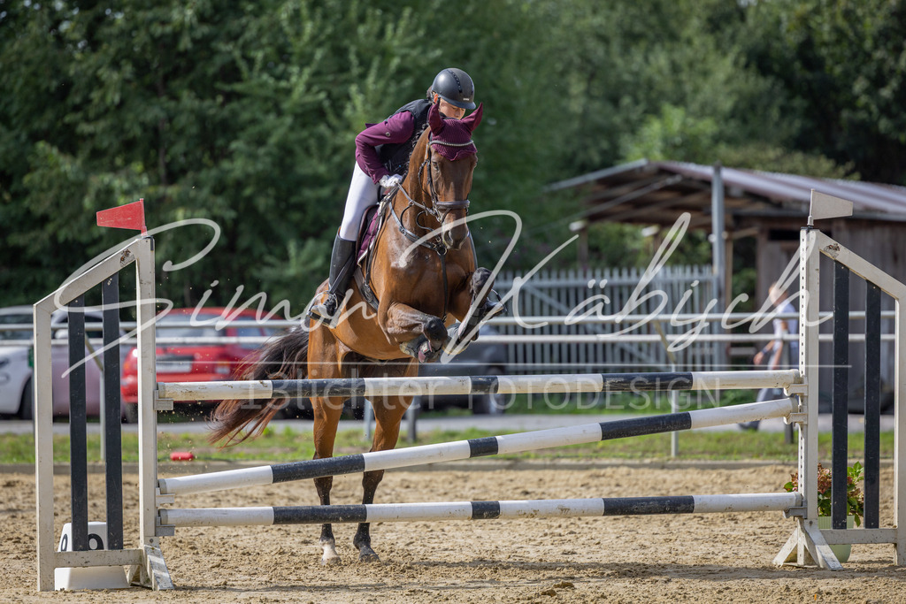 20260905-_3LI7631 | Tierfotografie Pferde, Hunde, Katzen, Haustiere.
Turnierfotografie Reitturniere, Reiten, Springreiten, Dressur in Hanau, dem Main-Kinzig-Kreis und dem Rhein-Main- Gebiet um Frankfurt