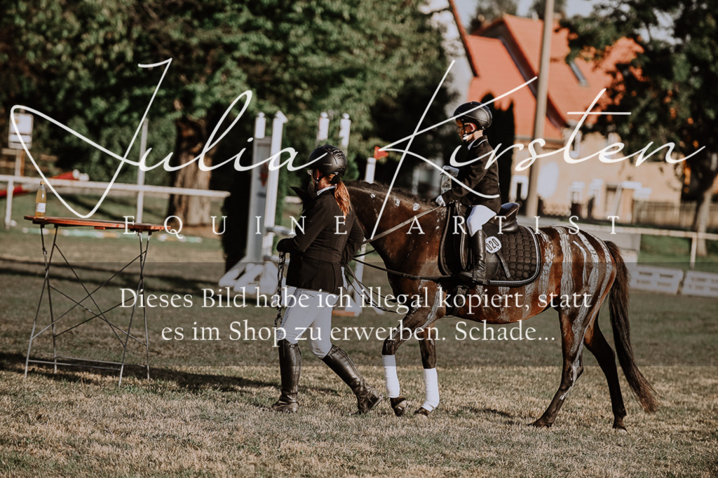DSC_0215 | Pferde- und Turnierfotografie in Westsachsen. Pferdeportraits, Auftragszeichnungen und intuitive Kunst.