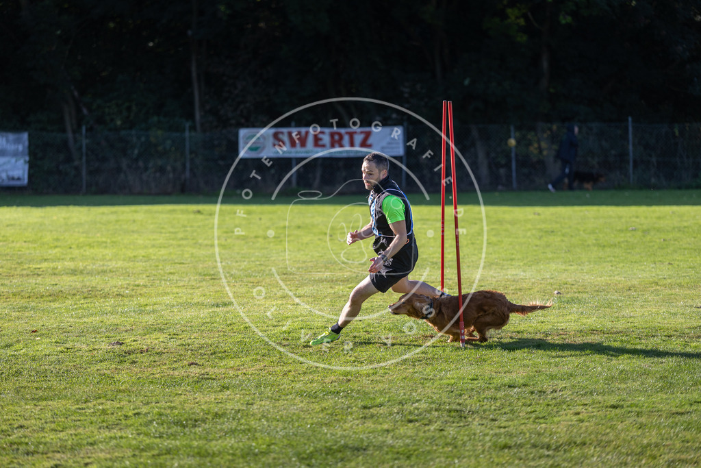 Pfotenfotografie.de_DV3A3425 | Hundefotografie, Tierfotograf, Pfotenfotografie, Fotoshooting Hund, Hunde Portrait, Hundesport, Hundeportraits, Heideshooting, Hunde, Sportfotograf, Hundefotograf, Turnierhundsport, THS, canicross - Realisiert mit Pictrs.com