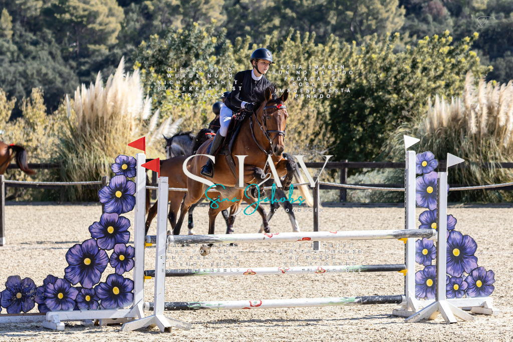 IMG_6418 | s-jay-photography - Realisiert mit Pictrs.com