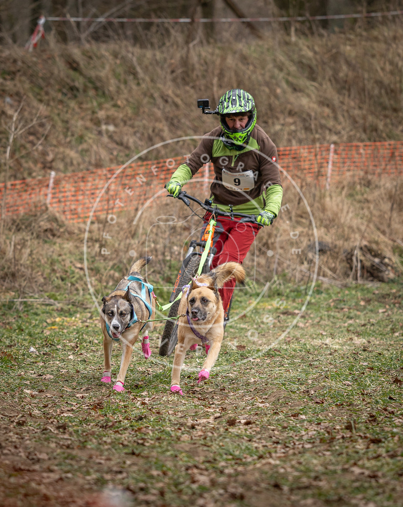 Pfotenfotografie_DV3A6591 | Hundefotografie, Tierfotograf, Pfotenfotografie, Fotoshooting Hund, Hunde Portrait, Hundesport, Hundeportraits, Heideshooting, Hunde, Sportfotograf, Hundefotograf, Turnierhundsport, THS,  - Realisiert mit Pictrs.com