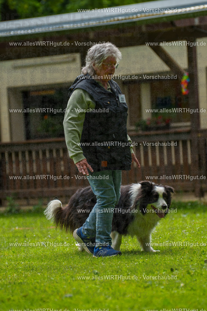 @allesWIRTHgut_Tierfotografie - www.allesWIRTHgut.de - 093915-7R507457 | Professionelle Tierfotografie in Mönchengladbach von Daniel Wirth (allesWIRTHgut). Liebevolle & natürliche Bilder von Hunden & Katzen für unvergessliche Erinnerungen.