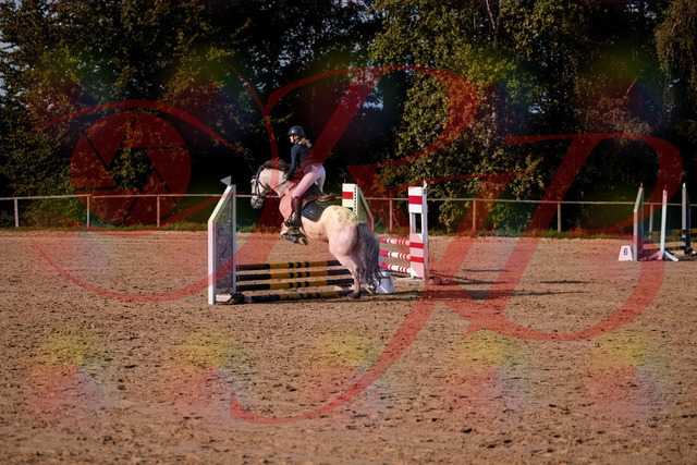 2026_10_03_Siefer-Hof_154451_Z81_62870353 | Professionelle Reitsport-, Turnier- und Eventfotografie von Robert Broda. Galerien mit ausgewählten und bearbeiteten Bildern direkt online ansehen und bestellen.
