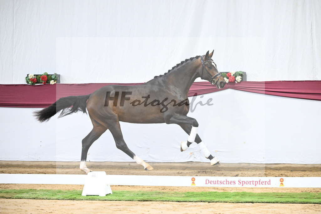 Kat-Nr. 13 Escaneno x De Niro-Christoph Wahler_47250236 | hf-fotografie - Realisiert mit Pictrs.com