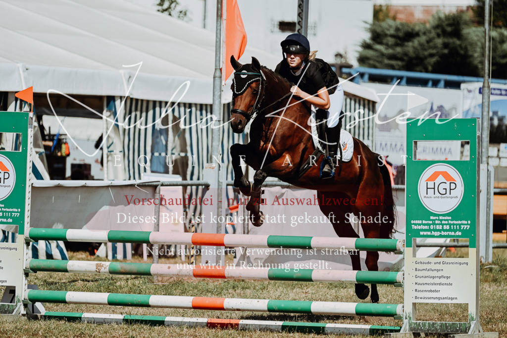 DSC_9912 | Pferde- und Turnierfotografie in Westsachsen. Pferdeportraits, Auftragszeichnungen und intuitive Kunst.
