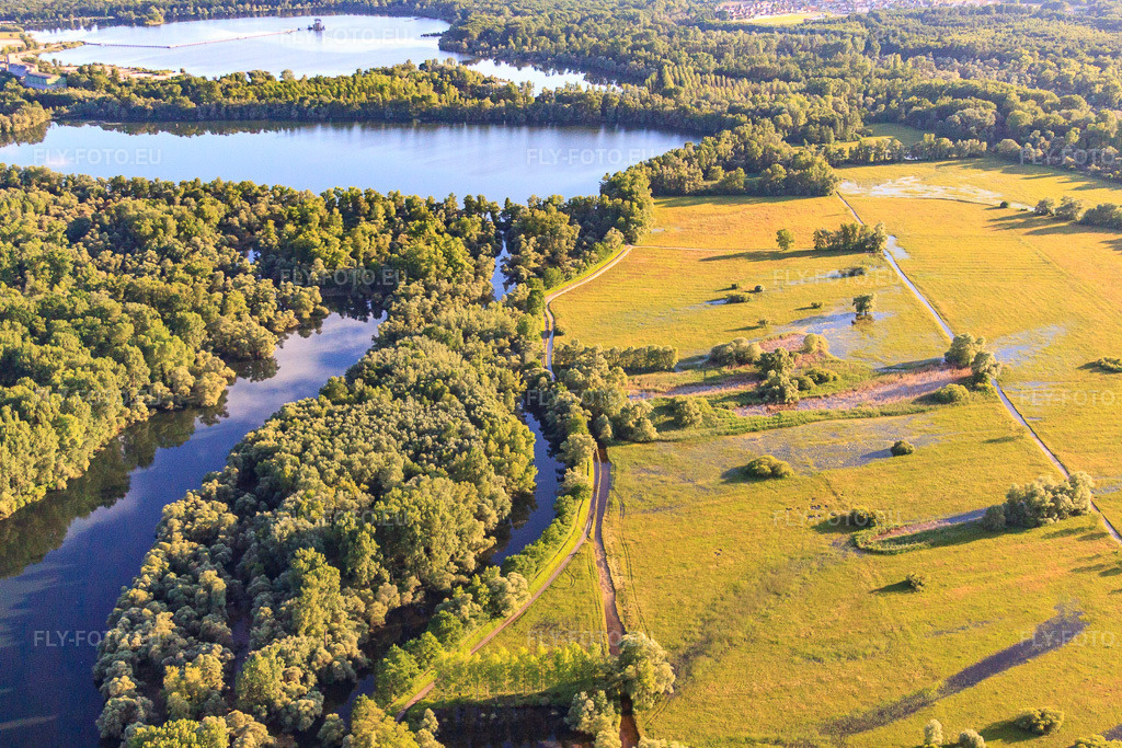 Vue aérienne: Réserve naturelle du Delta de la Sauer à Munchhausen dans le département Bas Rhin, France – .Photo: IMG_58000.jpg prise le 16/06/2013 par Werner Riehm/FLY-FOTO.eu – Résolution de l'original: 4752 x 3168 px