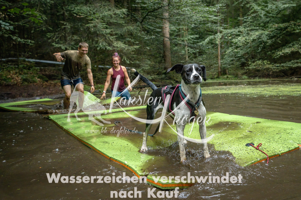 1533_ZZ91277-Bearbeitet | kk-dogfotos