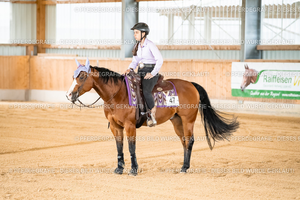 DSC01984 | Pferdegrafie